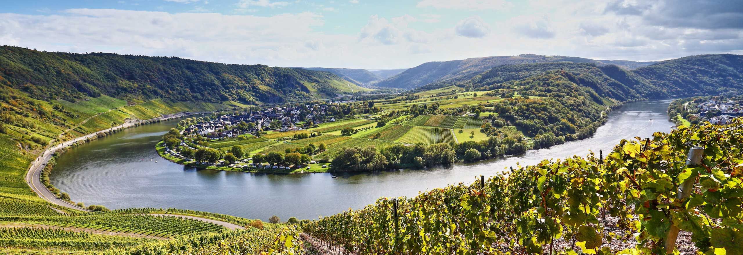 The tributaries of the Rhine